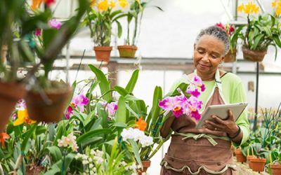 Retirement Plan Choices for Small Businesses